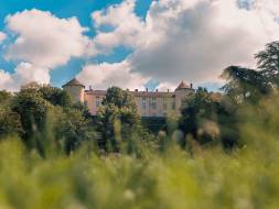 Vue du château de Chamagnieu.